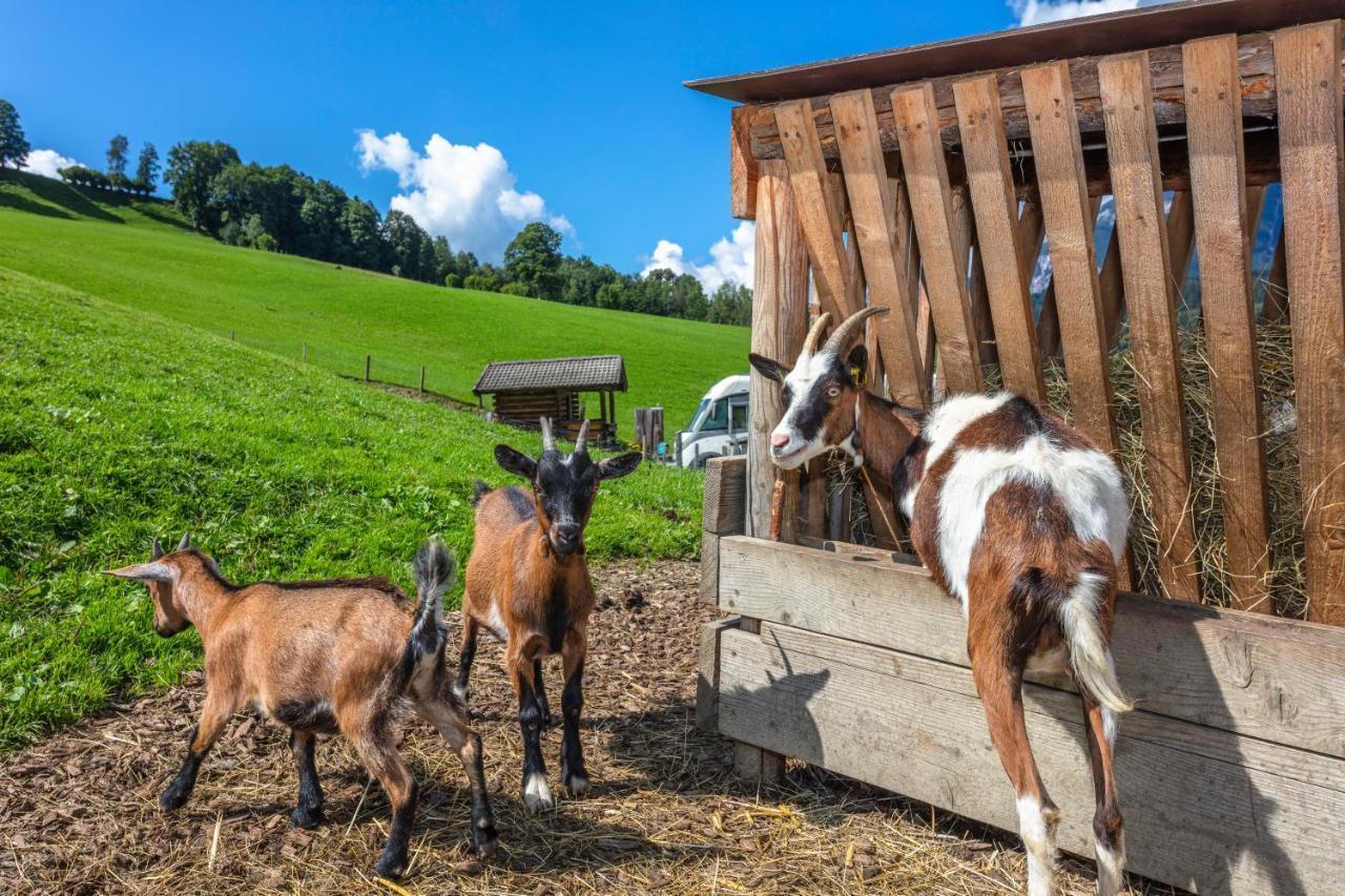 Apartmán Biobauernhof Stegerbauer Maria Alm am Steinernen Meer Exteriér fotografie