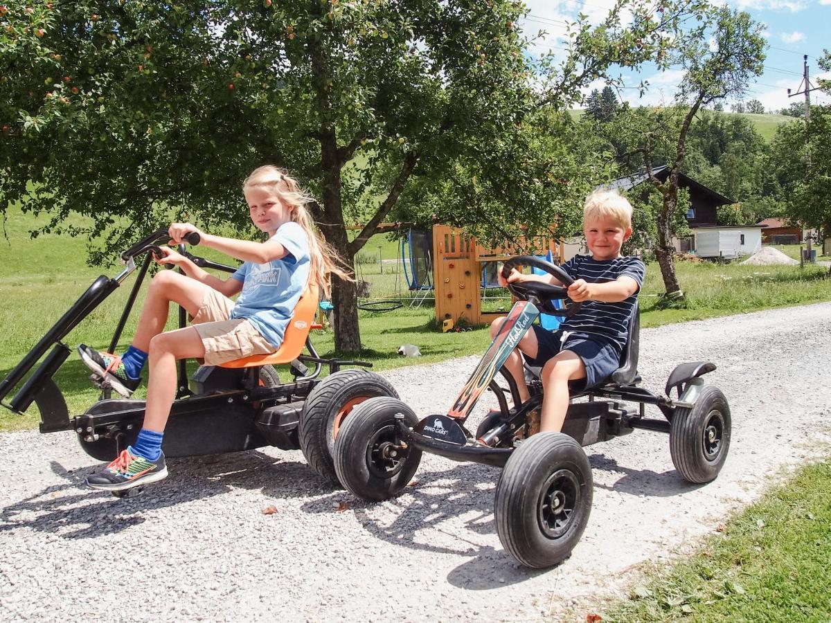Apartmán Biobauernhof Stegerbauer Maria Alm am Steinernen Meer Exteriér fotografie