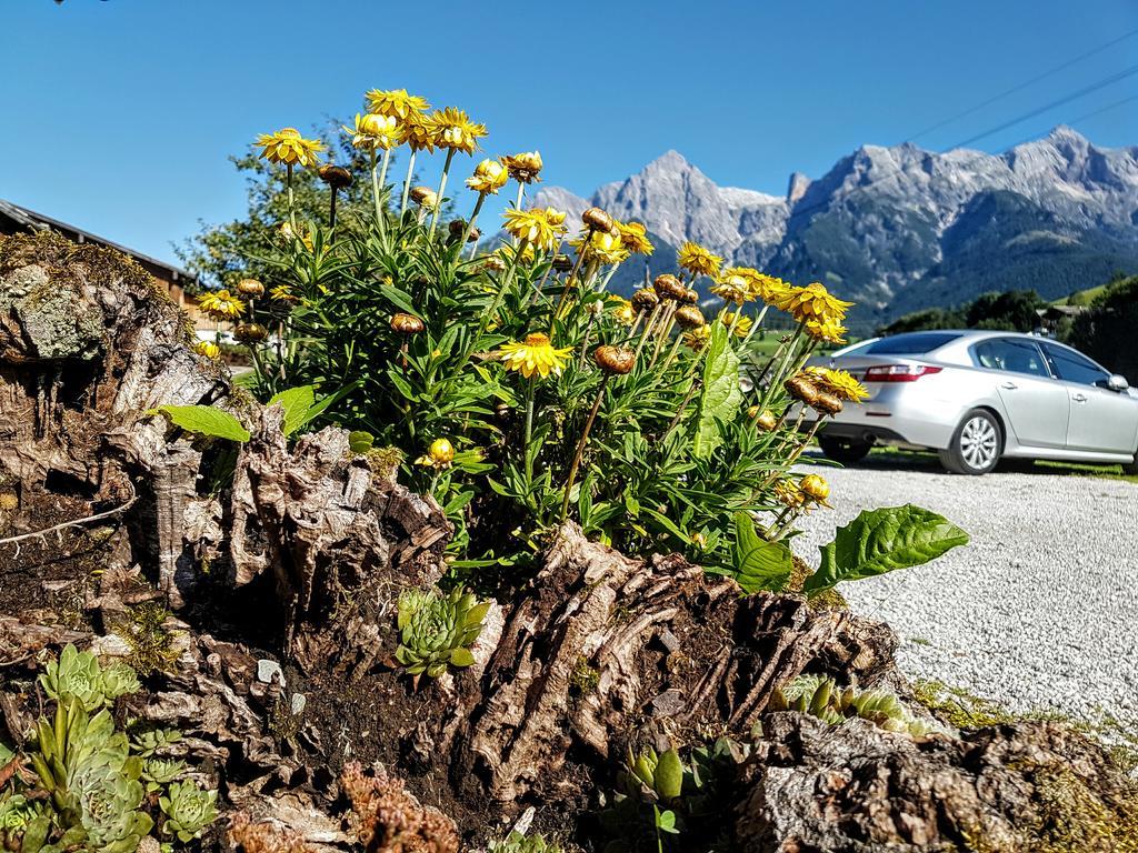 Apartmán Biobauernhof Stegerbauer Maria Alm am Steinernen Meer Exteriér fotografie