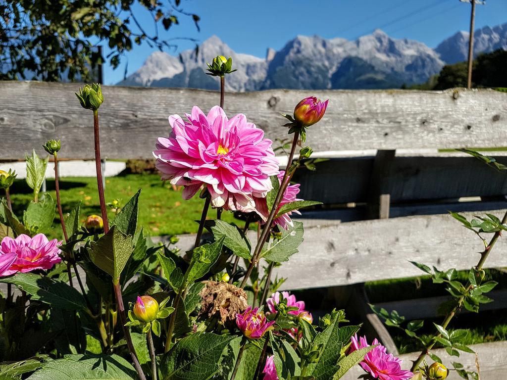 Apartmán Biobauernhof Stegerbauer Maria Alm am Steinernen Meer Exteriér fotografie