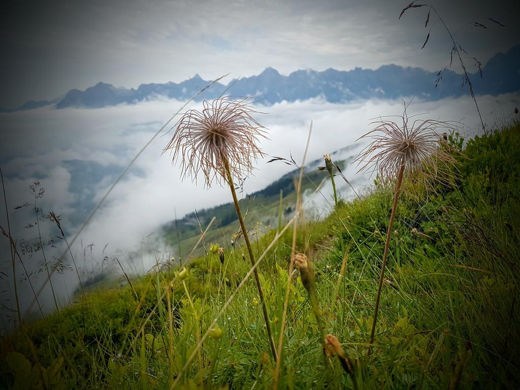Apartmán Biobauernhof Stegerbauer Maria Alm am Steinernen Meer Exteriér fotografie