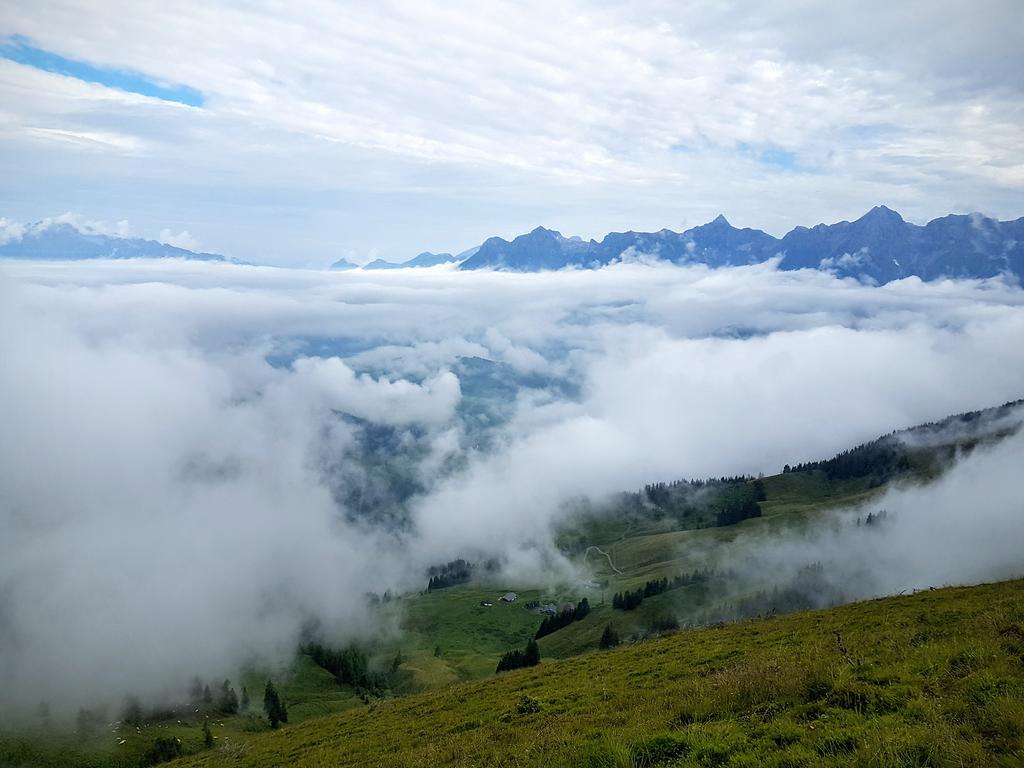 Apartmán Biobauernhof Stegerbauer Maria Alm am Steinernen Meer Exteriér fotografie