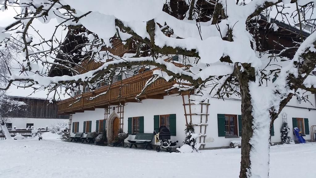 Apartmán Biobauernhof Stegerbauer Maria Alm am Steinernen Meer Exteriér fotografie